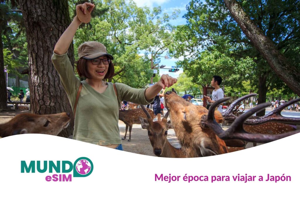 Mejor época para viajar a Japón