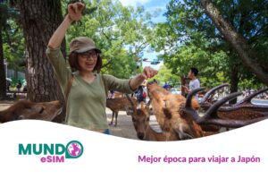 Mejor época para viajar a Japón